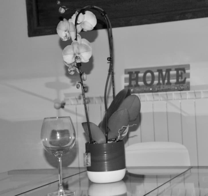 Brand New Apartment Florence Ngoại thất bức ảnh